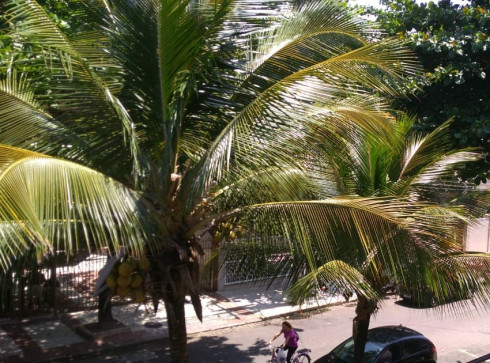 Apartamento de 183m², 03 suítes, NO RECREIO DOS BANDEIRANTES - Imperdivel !!!